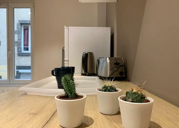 Chill & Work Apartment Clermont-Ferrand